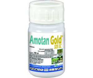 amotan_gold-100ml
