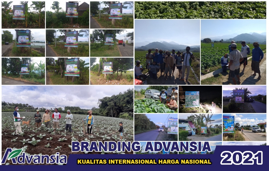 Branding PT Advansia Indotani